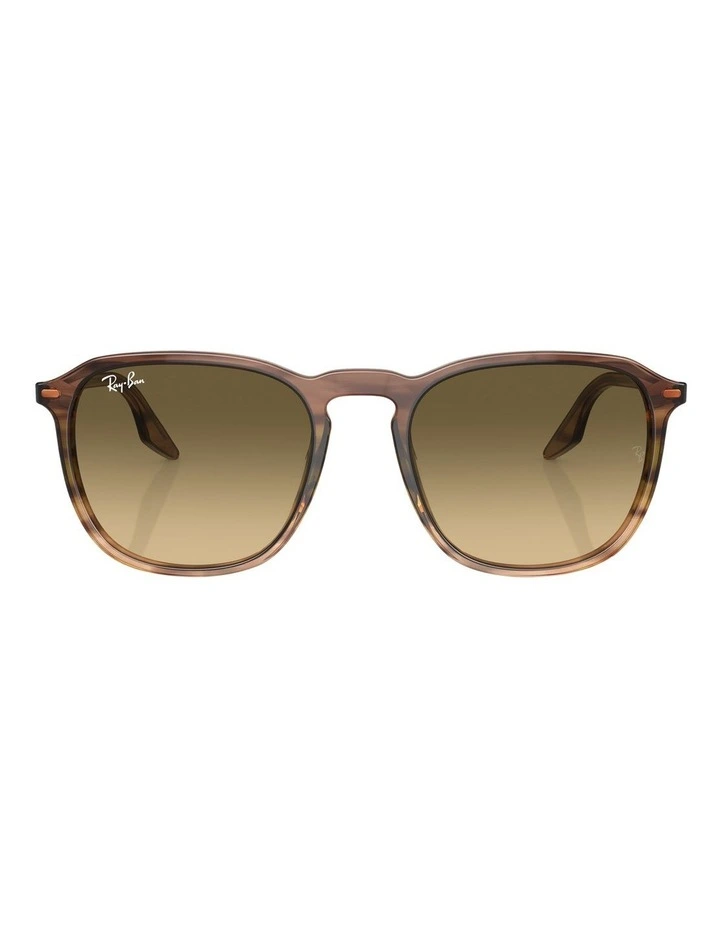 RB2203 Sunglasses in Brown