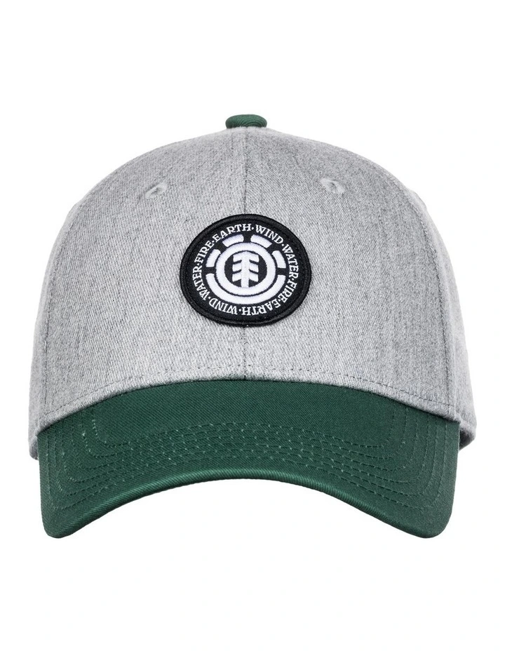 Treelogo 2.0 Baseball Cap in Grey
