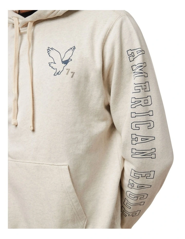 Super Soft Graphic Hoodie in Heather Frost