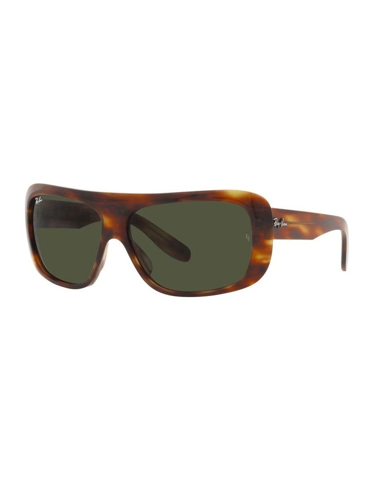 RB2196 Blair Sunglasses in Brown