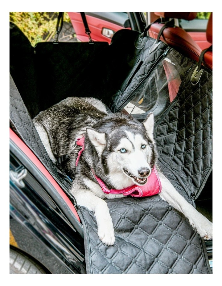 Adventure Car Seat Protector For Dogs in Back