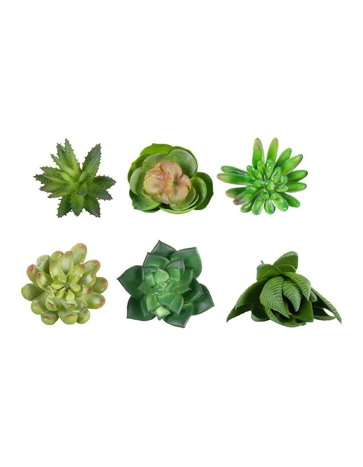 Artificial Succulent Stem Set of 6 in Multi