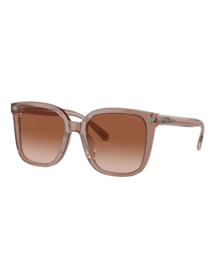 CL918 Sunglasses in Brown