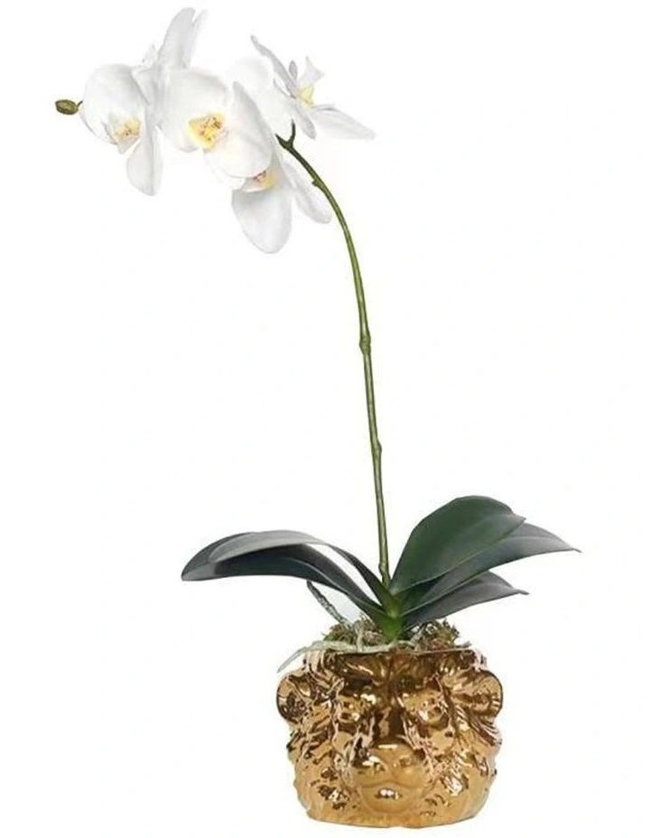 Exclusive Design Real Touch Artificial Orchid Arrangement In Lion Head Golden Pot