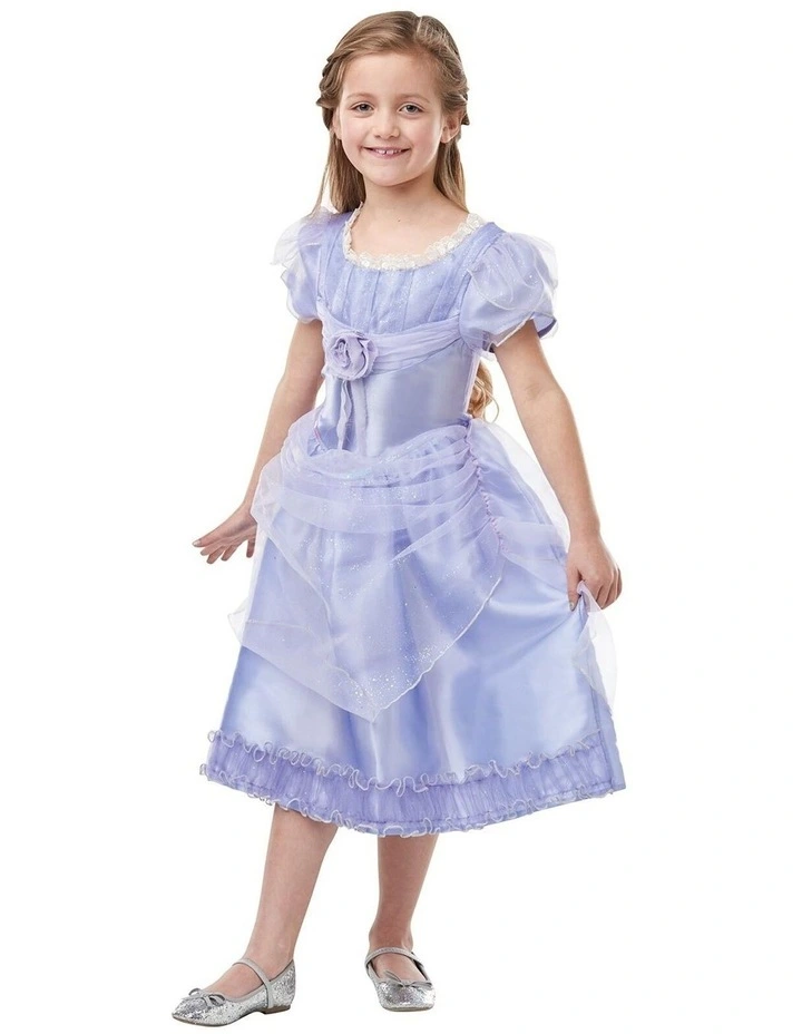 Clara From the Nutcracker Ballet Dress Costume