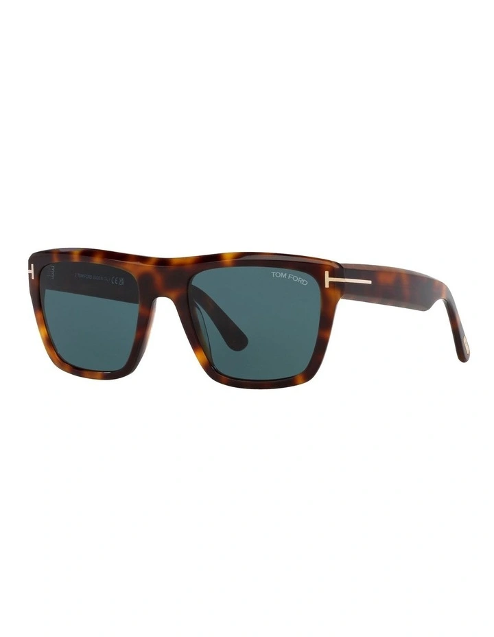 Alberto Sunglasses in Tortoise