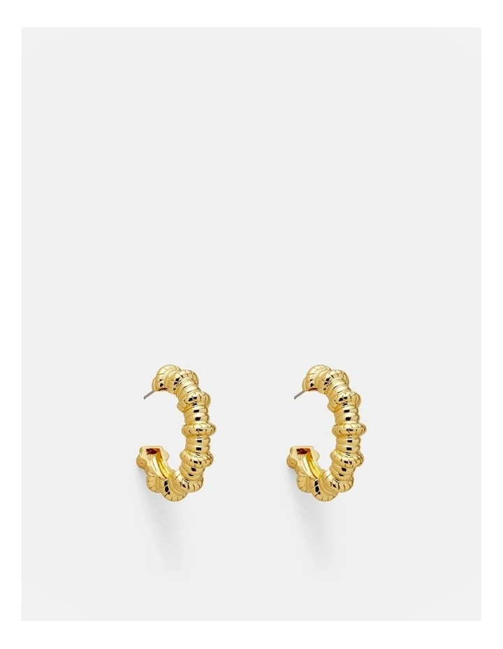 Serenno Hoop Earrings in Gold