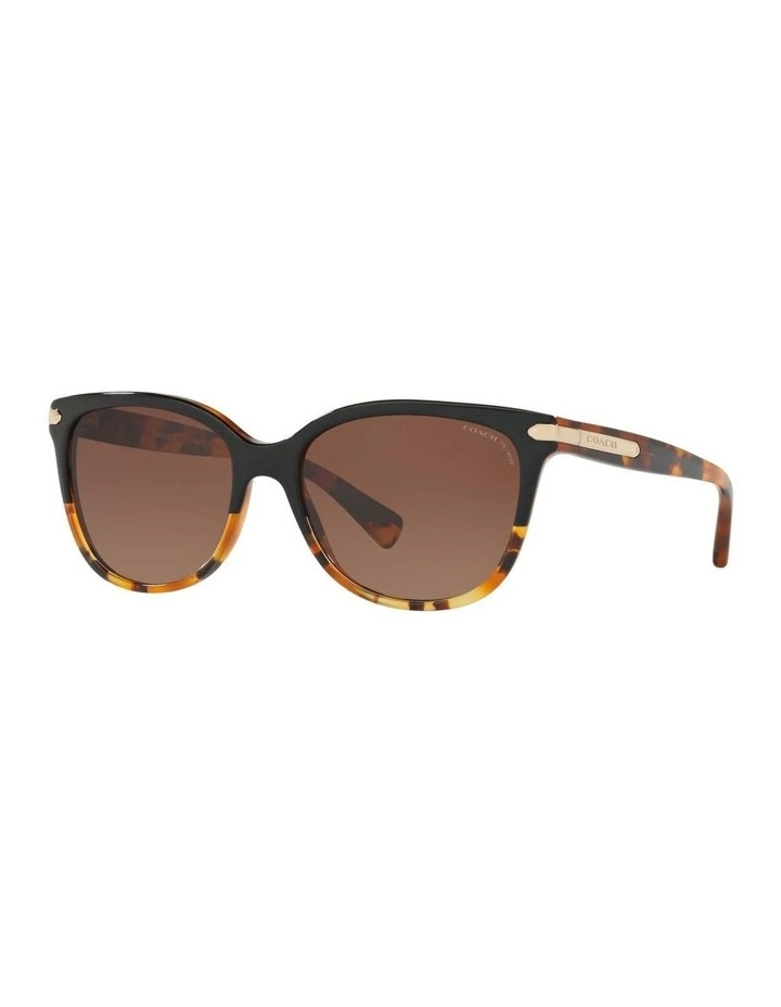HC8132 L109 Tortoise Polarised Sunglasses