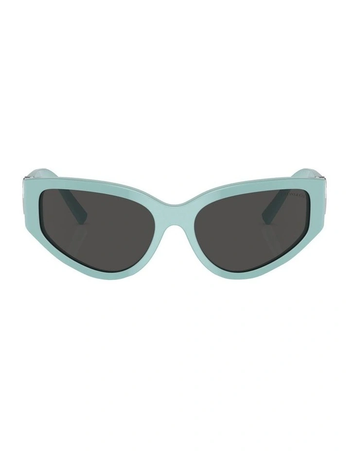 TF4217 Sunglasses in Blue
