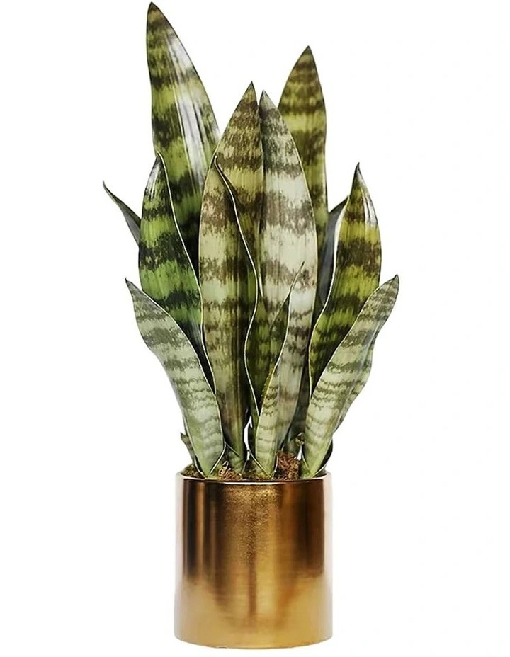 Artificial Snake Plant in Golden Pot
