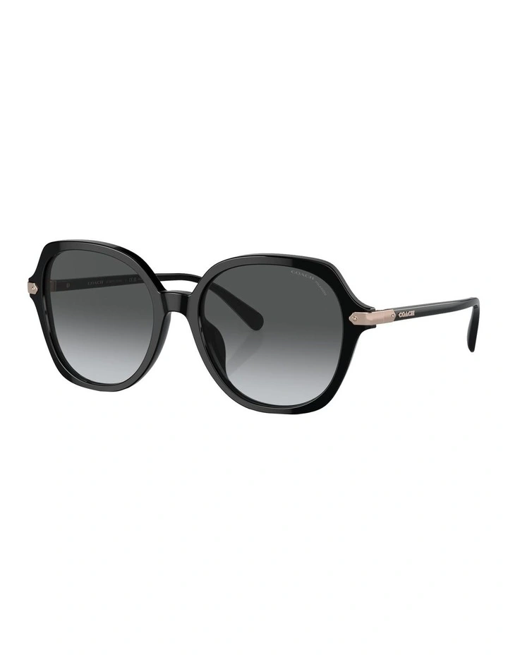 Polarised CL925 Sunglasses in Black