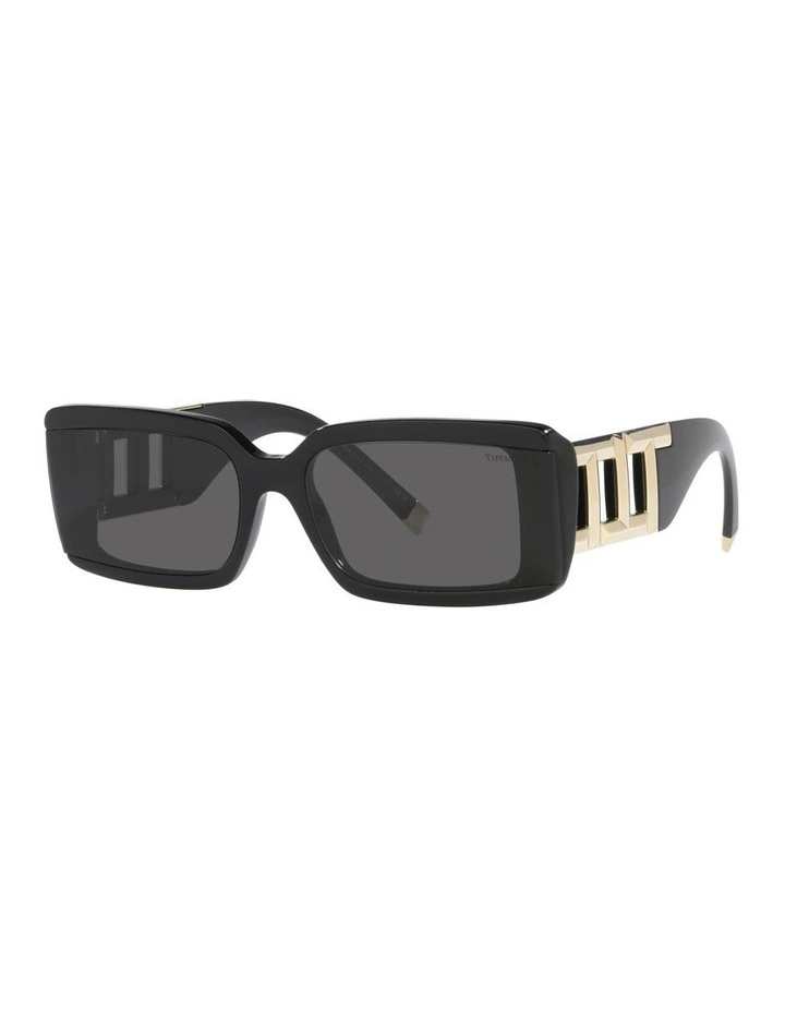 0TF4197 Sunglasses in Black