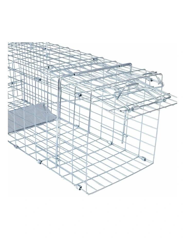 Animal Trap in Multi