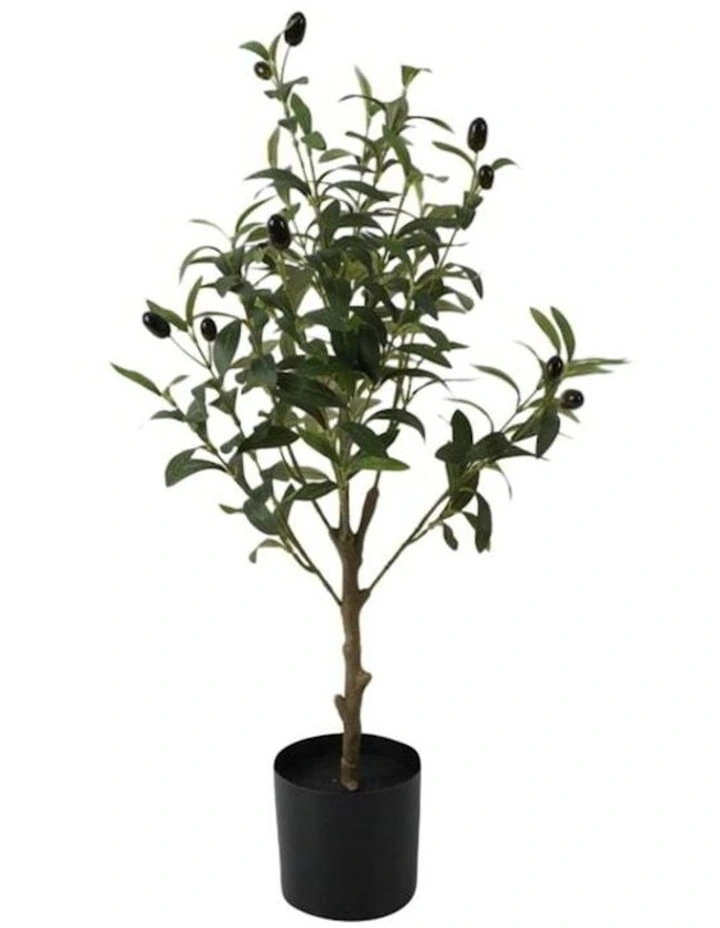 Artificial Olive Tree Pot Plant 60cm in Black