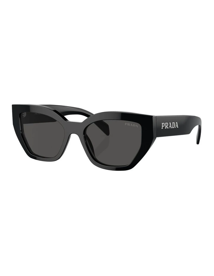 PR A09SF Sunglasses in Black