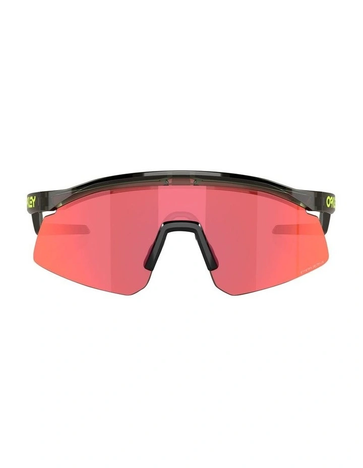 Hydra Coalesce Collection Sunglasses in Green
