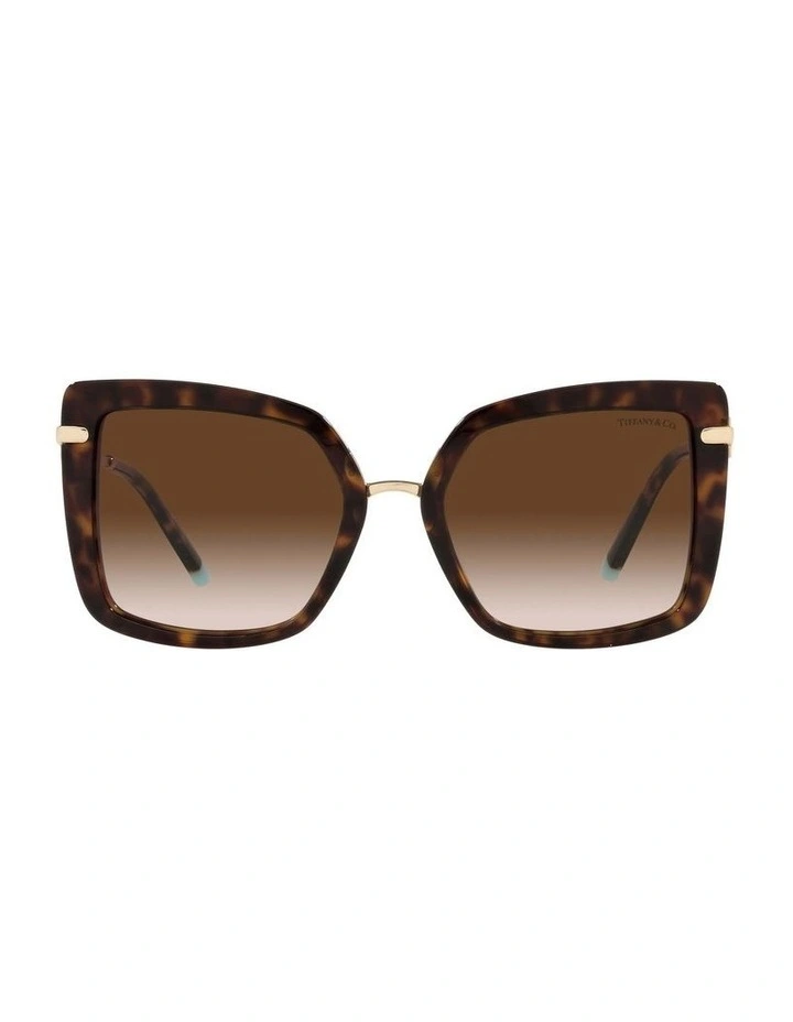 TF4185 Tortoise Sunglasses