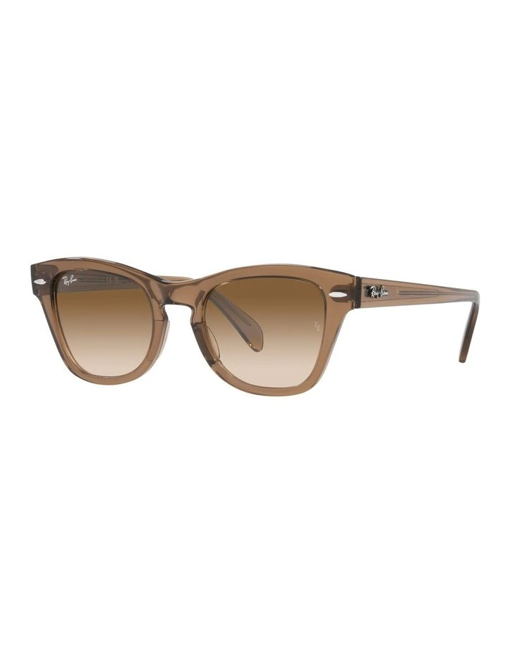 0RB0707S Sunglasses In Brown