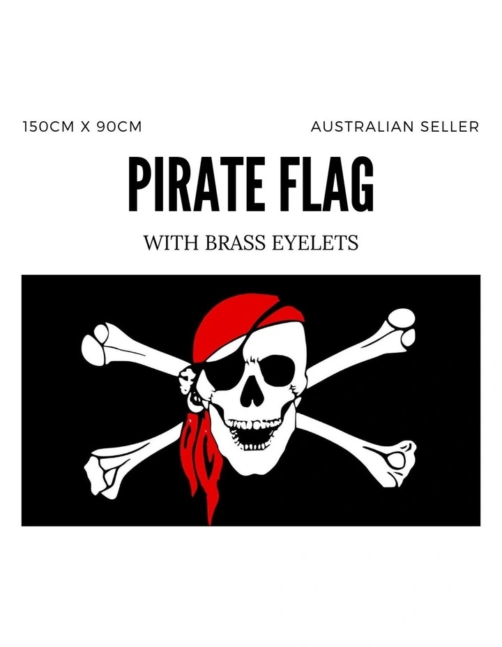 Party Flag Pirates Skull & Crossbones Costume Large 150 X 90 In Multi