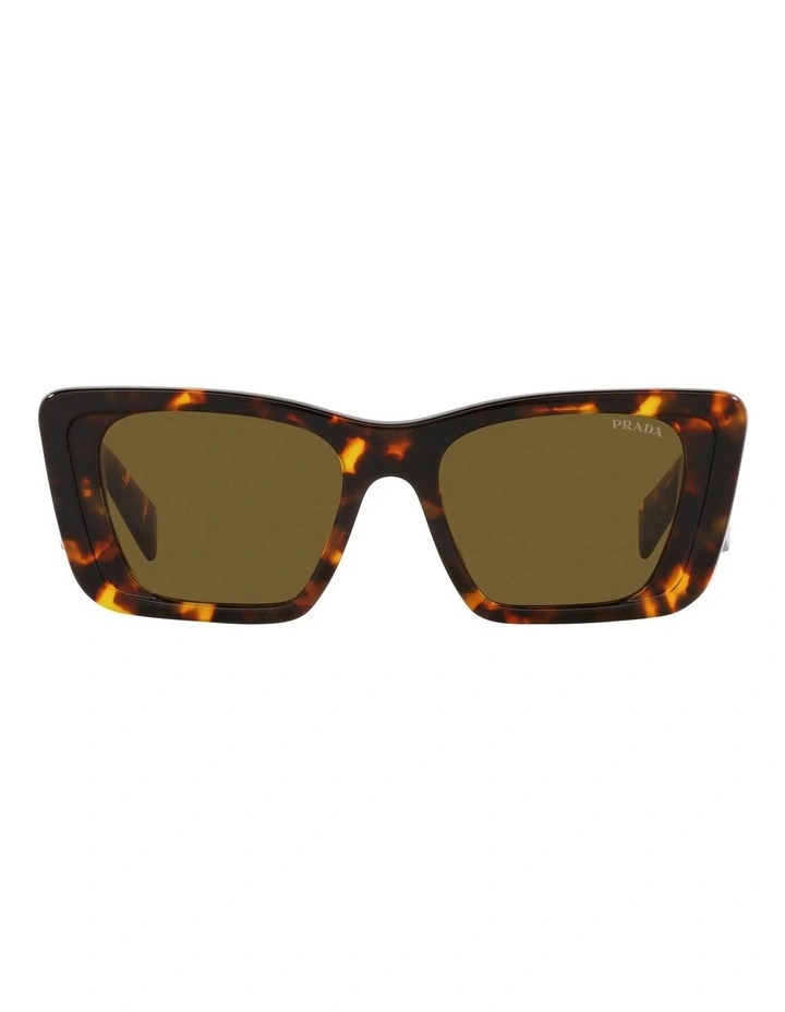 Tortoise PR08YS Sunglasses in Brown