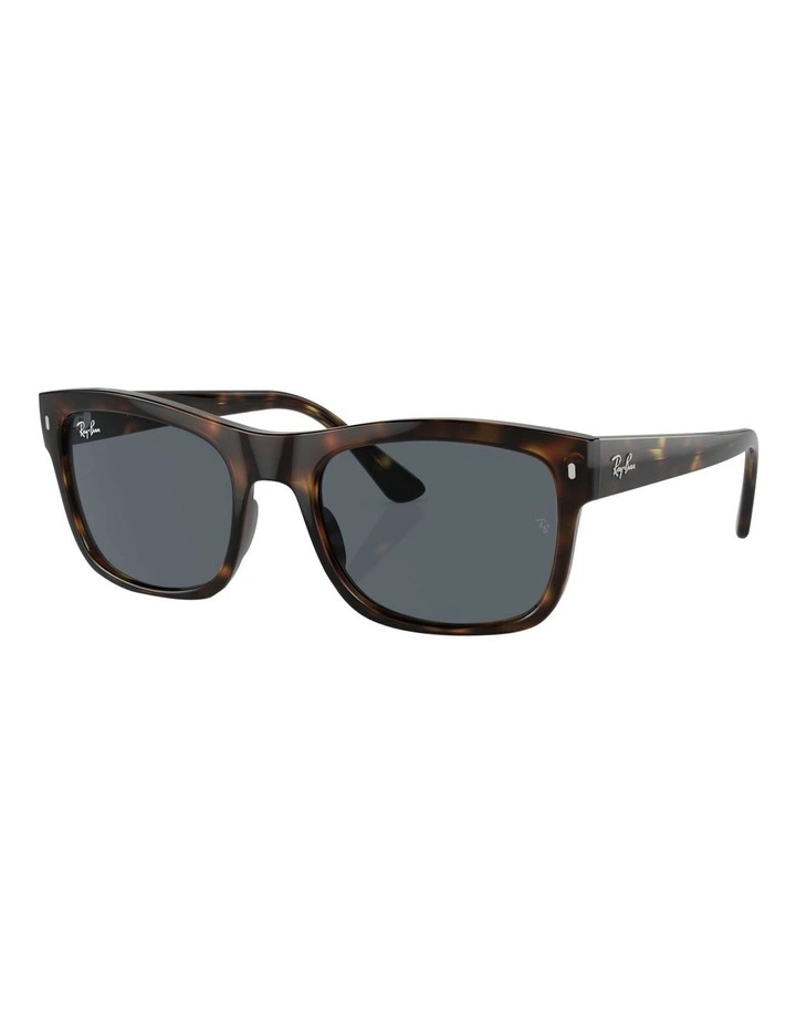 RB4428 Sunglasses in Tortoise