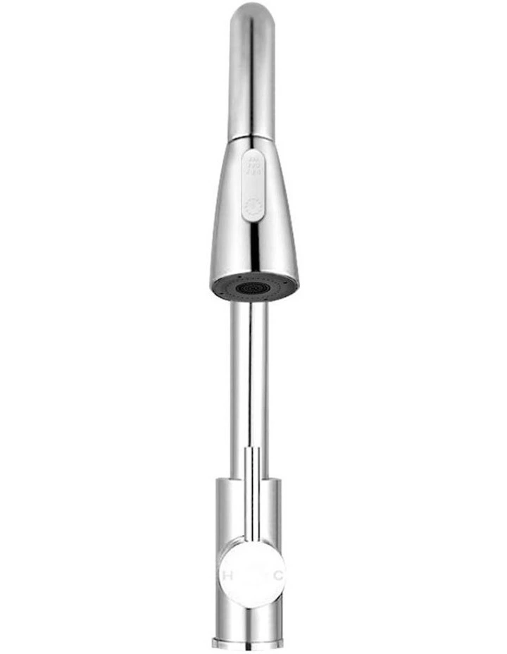 Pull-out Mixer Tap in Silver