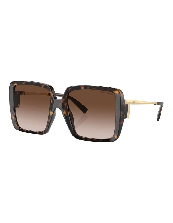 TF4212U Sunglasses in Tortoise