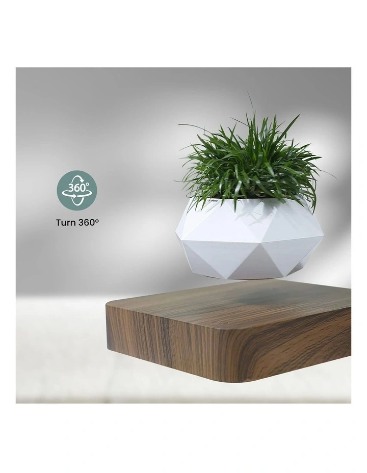Rotating Magnetic Levitating Pot Plant in Dark Brown Base