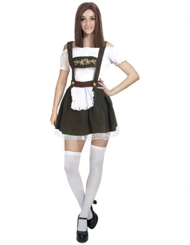 Beer Girl Bavarian Costume in Multi