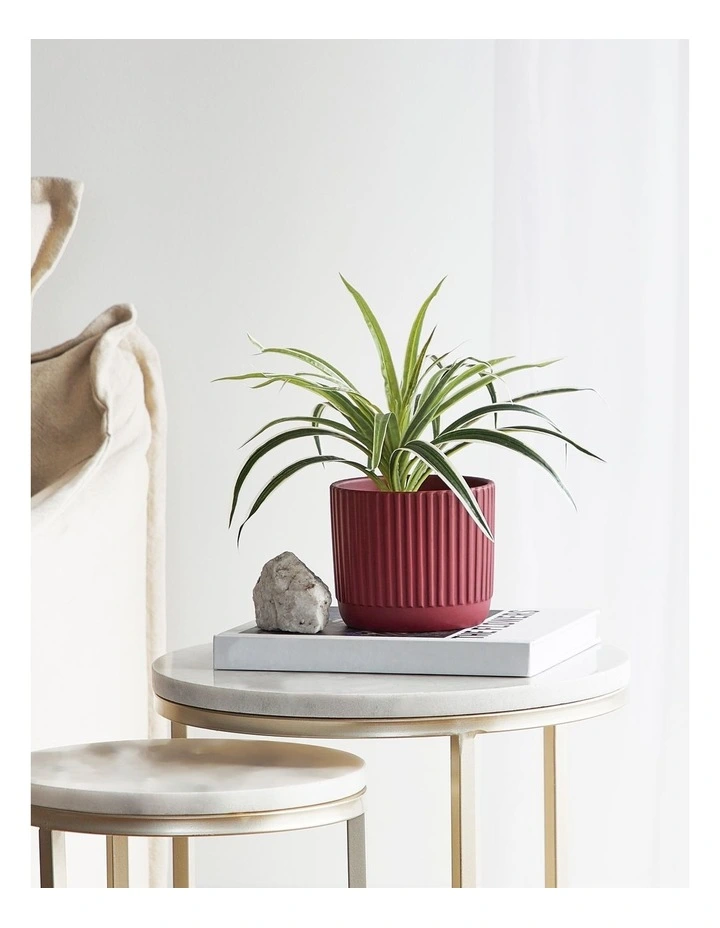 Dakota Ribbed Terracotta Planter Pot 14cm in Burnt Red