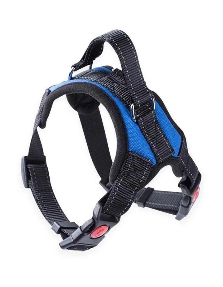 No Pull Dog Harness with Adjustable Chest Belt XL in Blue