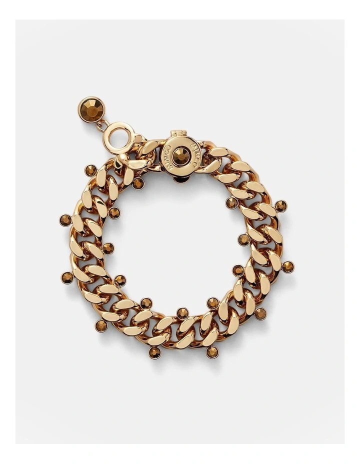 Lost Chain Bracelet in Gold