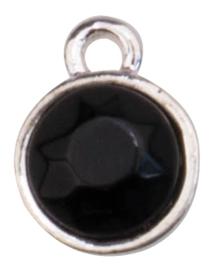 Isadora Aurelia Round Onyx Drop Charm in Silver