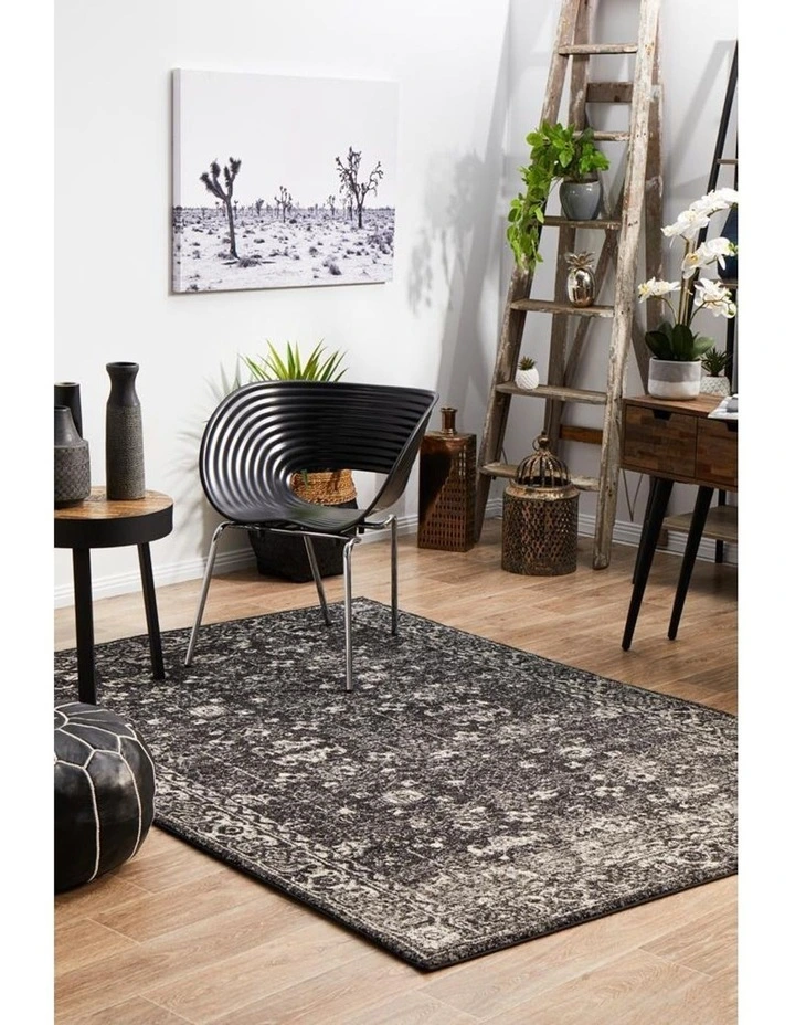Evoke Estella Charcoal Transitional Rug