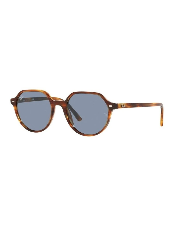 Thalia Brown RB2195 Sunglasses