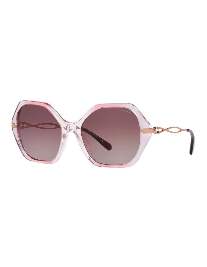 HC8315 C3445 Violet Sunglasses