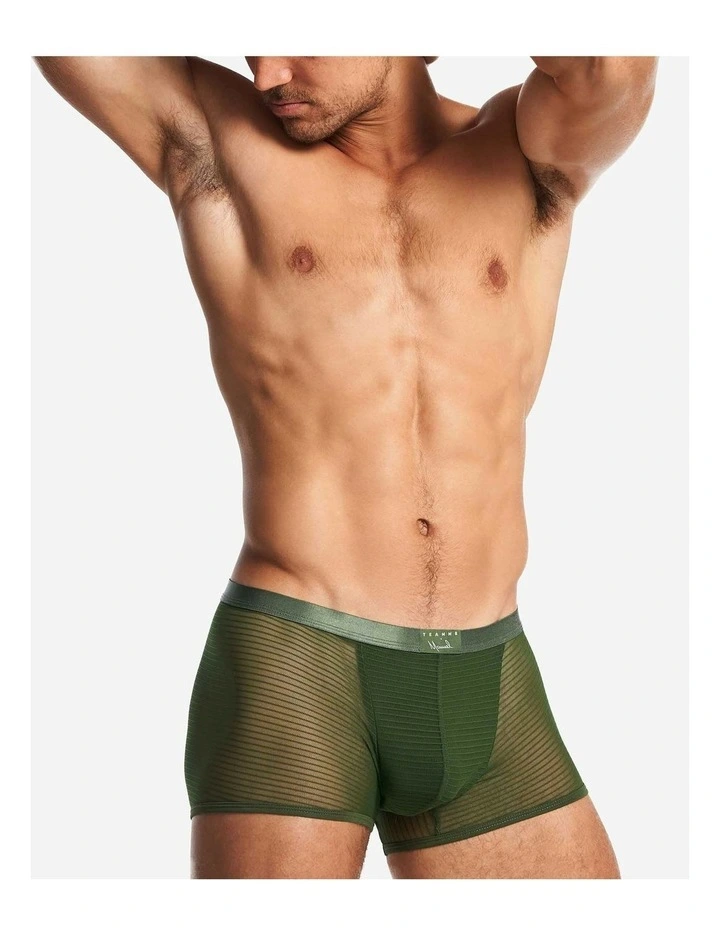 Manuel Sheer Trunk in Verde