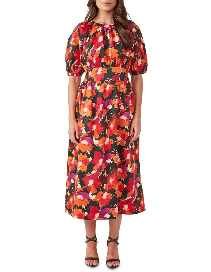 Flamingo Renaissance Dress in Print