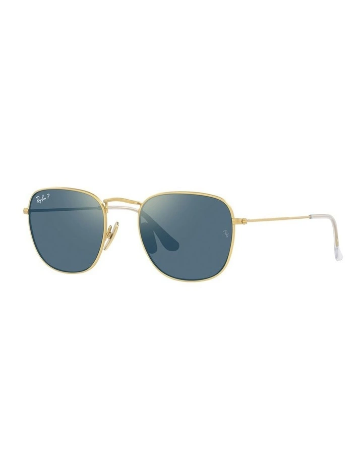 Frank Titanium Gold RB8157 Polarised Sunglasses