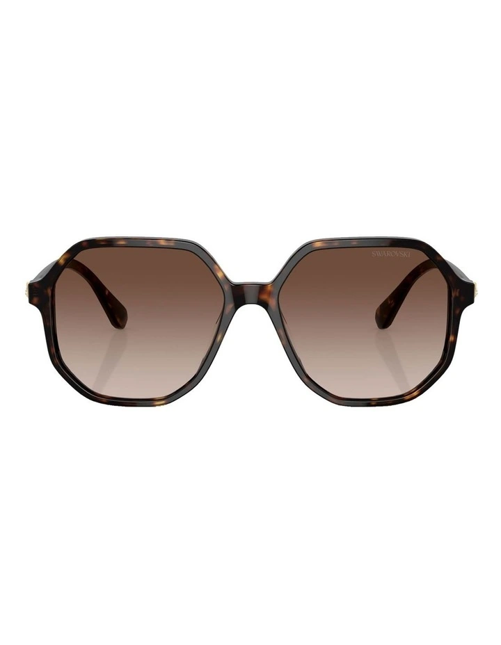 SK6003 Sunglasses in Tortoise