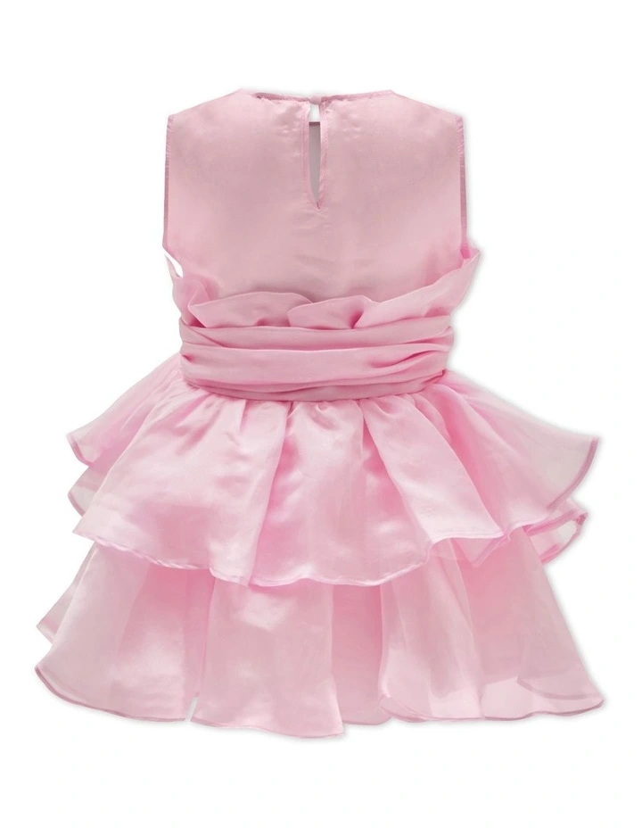 Fallon Organza Mini Dress in Lili Pink