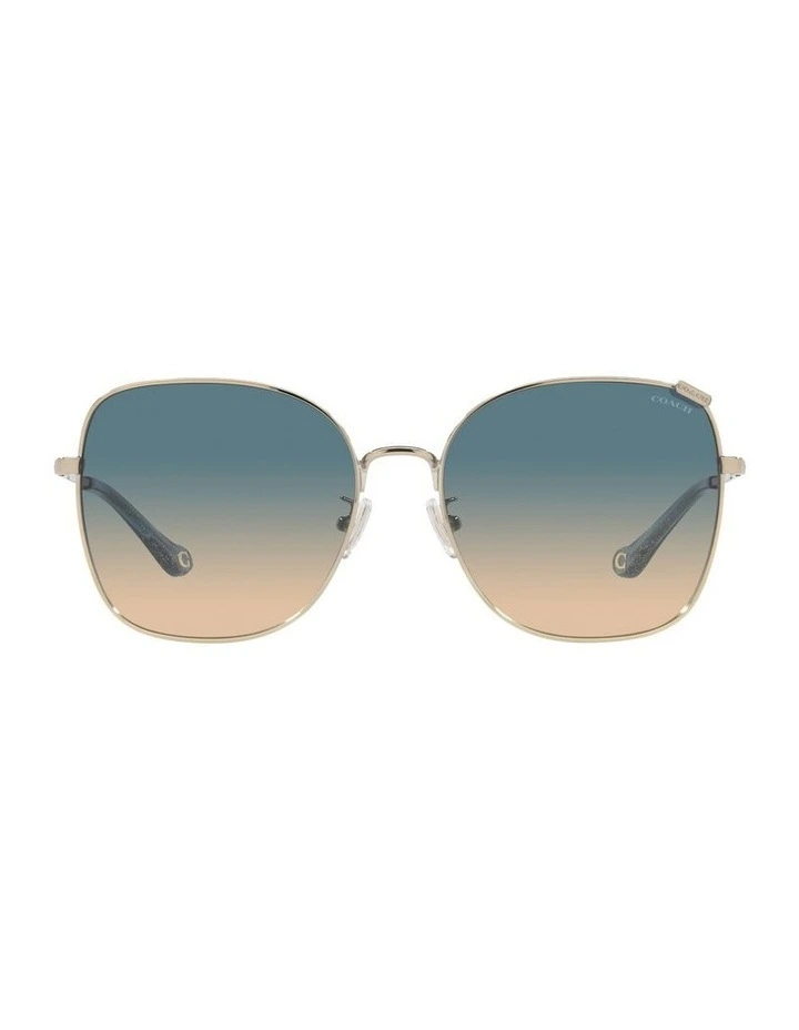 HC7133 C7997 Gold Sunglasses