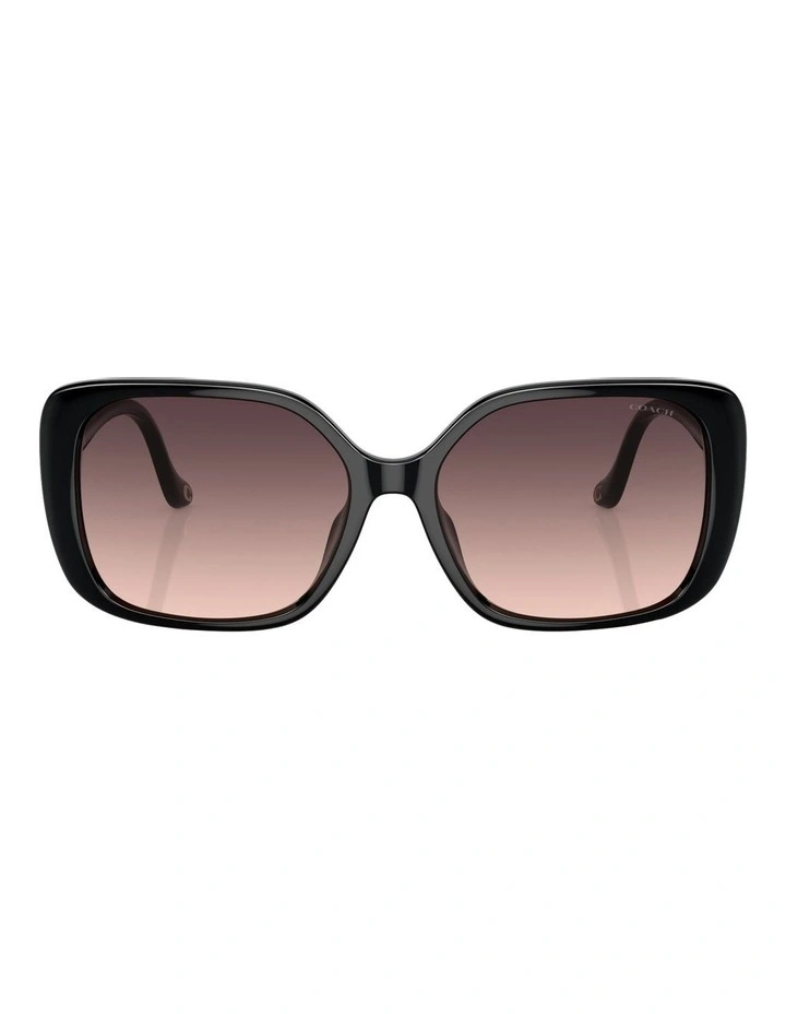 CL929 Sunglasses in Black