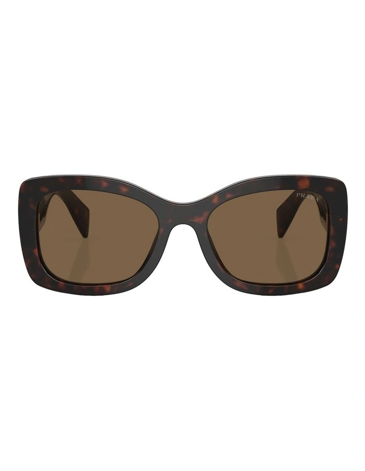 PR A08S Sunglasses in Brown