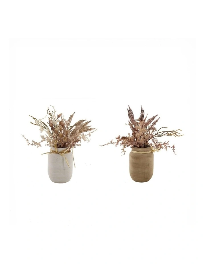 2 Piece Artificial Dried Flowers in Ceramic Pots in Natural