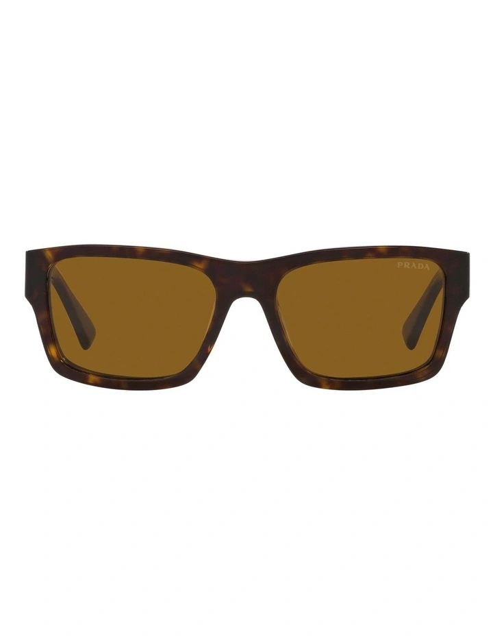 PR 25ZS Tortoise Sunglasses in Brown