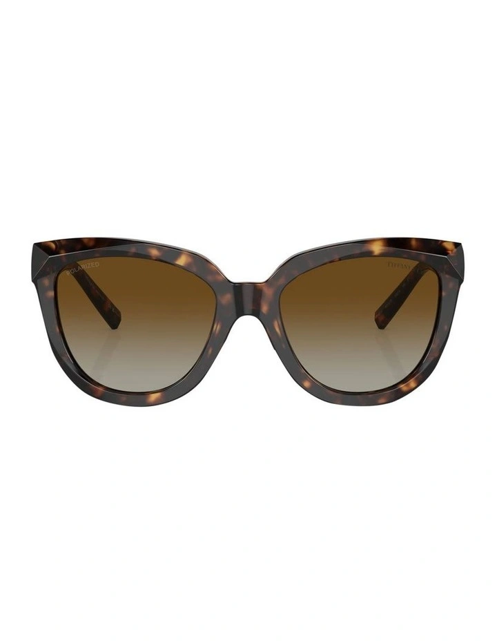 TF4215 Polarised Sunglasses in Tortoise