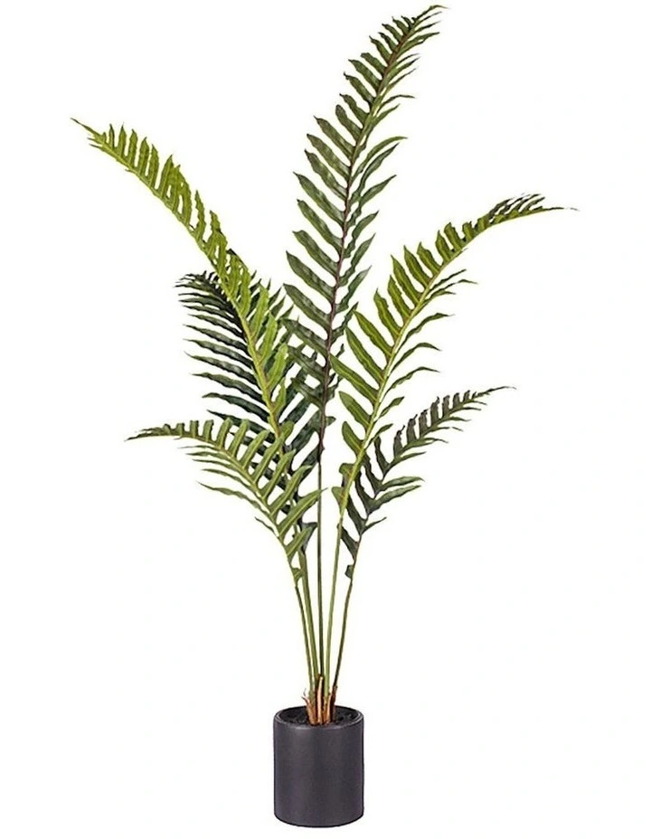 Artificial Foot Fern Tree in 150cm in Assorted