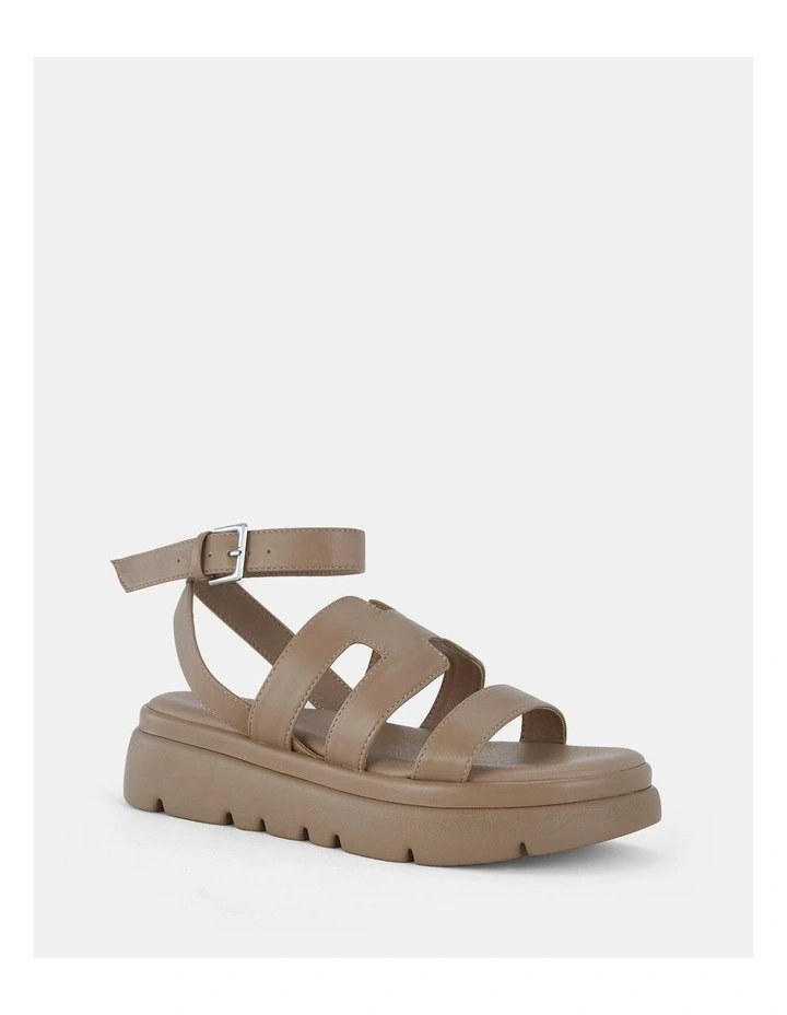 Bolzano Wedges in Toffee