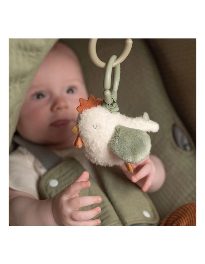 Little Farm Pull And Shake Chicken Toy